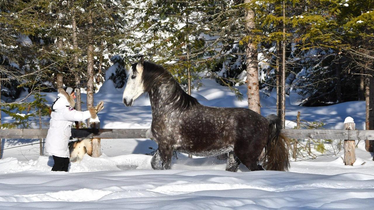 Le Ti Moose Βίλα La Malbaie Εξωτερικό φωτογραφία